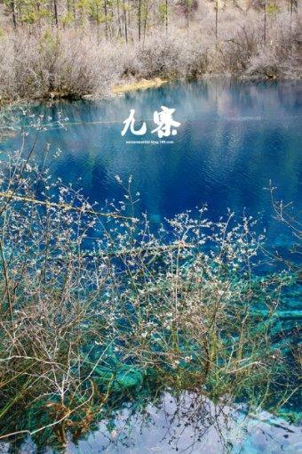 机智问答网页-寻找三伏贴贴了之后,会引起发烧吗?的终极答案